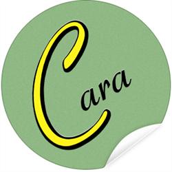 Cara Cleaning Services, Guildford opening hours
