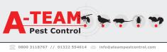 a Team Pest Control, Crayford opening hours