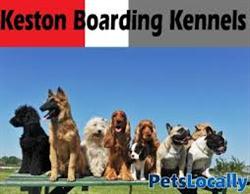 Keston Boarding Kennels Ltd, opening hours