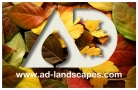 Ad Landscapes, Totnes opening hours