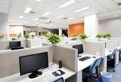 Carlton Cleaning Services Ltd, Longwood opening hours