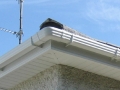 All about roofing services, Coventry opening hours