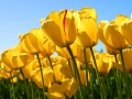 1 To 1 Counselling & Supervision, Norton opening hours