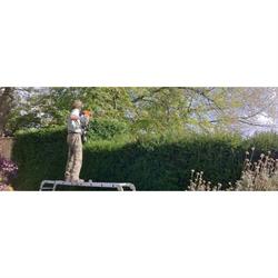 Stripe Gardens in Farnham (Farnham) - Opening Hours