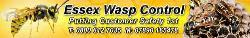 Essex Wasp Control in Stebbing (Dunmow) - Opening Hours