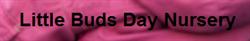 Little Buds Day Nursery, London opening hours