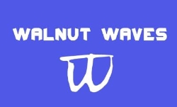 Walnut Waves, Halwill Junction opening hours