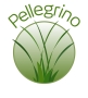 England Pellegrino, Belper opening hours