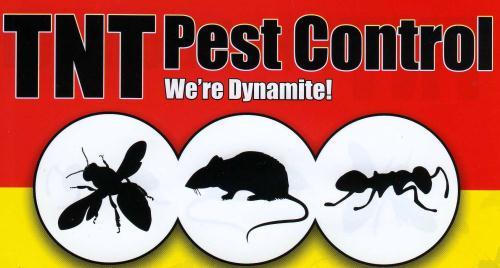 Tnt Pest Control, Haslington opening hours