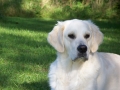 From Wags to Washes, Stanfield opening hours