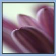 Counselling, Tuition & Web Design with Caroline Kent in Hadleigh (Ipswich) - Opening Hours
