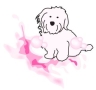 Heads and Tails Dog Grooming, Urmston opening hours