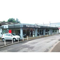Hamilton Garage, Sidmouth opening hours