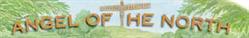 Angel Of The North Fishing Lakes, Birtley opening hours