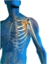 West Hill Physiotherapy & Sports Injury Clinic, Dartford opening hours