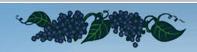 The Vineyard Surgery in Richmond (Richmond Upon Thames) - Opening Hours