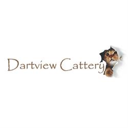 Dartview Cattery, Totnes opening hours