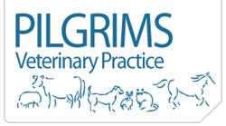 Pilgrims Veterinary Practice, Cranborne opening hours