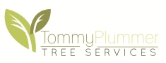 Tommy Plummer Tree Services Ltd, Empingham opening hours