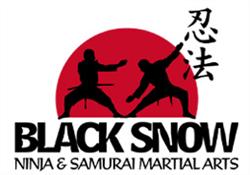 Black Snow Martial Arts Centre, Barnham opening hours