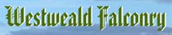 Westweald Falconry, Uphill opening hours