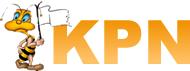 Kpn Wasp Nest Removal in Croydon (Greater London) - Opening Hours