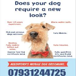Alexandra's Dog Grooming in Weaverham (Weaverham) - Opening Hours