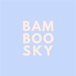 The Willow Tree (now known as BAMBOO SKY), Bourn opening hours