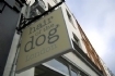 Hair Of The Dog in London (Highgate) - Opening Hours