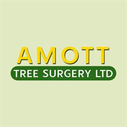 Amott Tree Surgery, Waterlooville opening hours