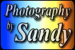 Photography by Sandy, Coatbridge opening hours