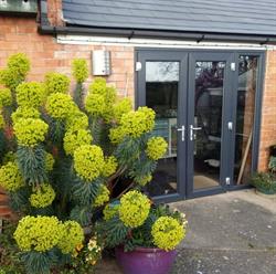 Pure Living Interiors, Rampton opening hours