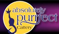 Absolutely Purrfect Cattery, Beverley opening hours