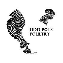 Odd Pots Poultry, Drakes Broughton opening hours