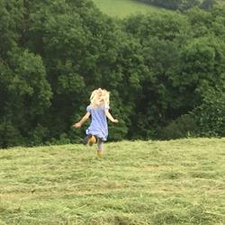 Summerhill Farm, Hittisleigh opening hours