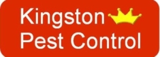 Kingston Pest Control, Hull opening hours