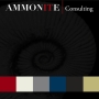 Ammonite Consulting, Bexhill-on-Sea opening hours