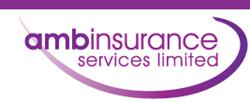 Amb Insurance Services Ltd in Newcastle (Newcastle-Under-Lyme) - Opening Hours