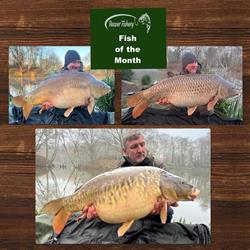 Beaver Fishery, Newchapel opening hours