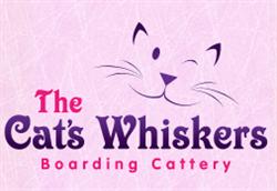 The Cats Whiskers Boarding Cattery, Smallford opening hours