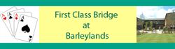 First Class Bridge Academy, Billericay opening hours