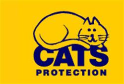 Cats Protection, Glasgow opening hours