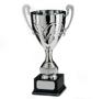 Wigan Trophies, opening hours