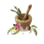 Julia Kirby Online Homeopathy Clinic, Bawdeswell opening hours