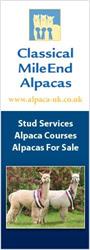 Classical MileEnd Alpacas, Pennymoor opening hours