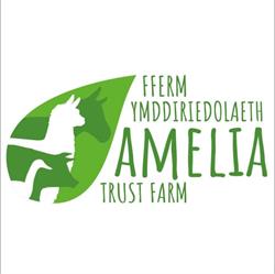 Amelia Trust Farm, Barry opening hours