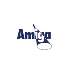 Amiga Fire & Security Ltd, Coxheath opening hours