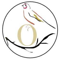 Finch Optical, Nailsworth, opening hours
