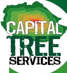 Capital Tree Services, Bonnyrigg opening hours