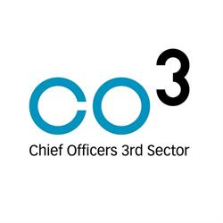 Chief Officers 3rd Sector, Belfast opening hours